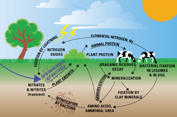 Sustainability